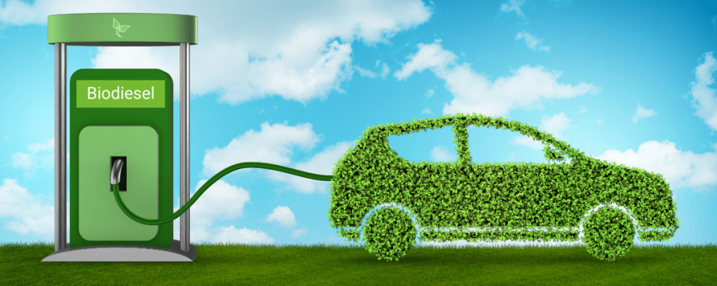 Choose Biodiesel Manufacturers in India
